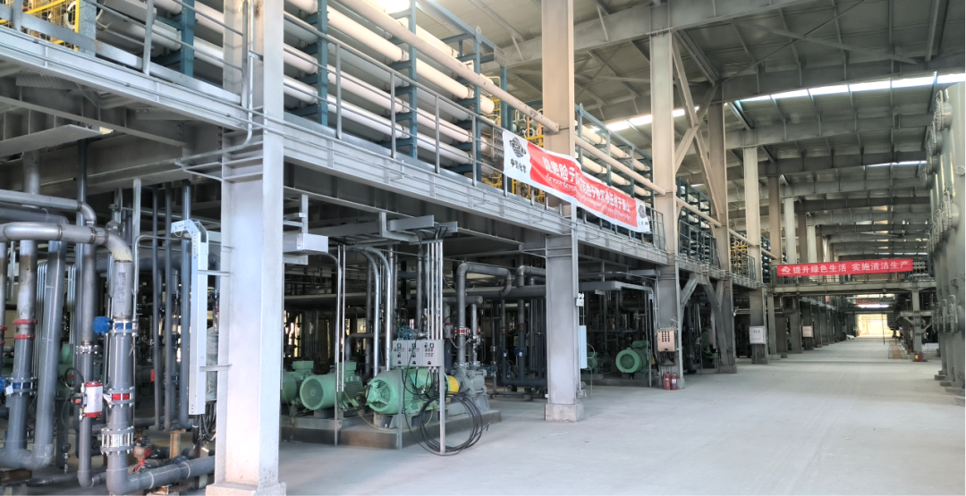 ��ͷ�� | ����Ү�κ���ֵ�ؼ�̼�����Ŀ˳���ˮ��������������