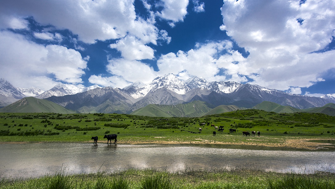 ��ͷ�� | һ�����±�gg�����漣�ֳɾ�������ͭ��