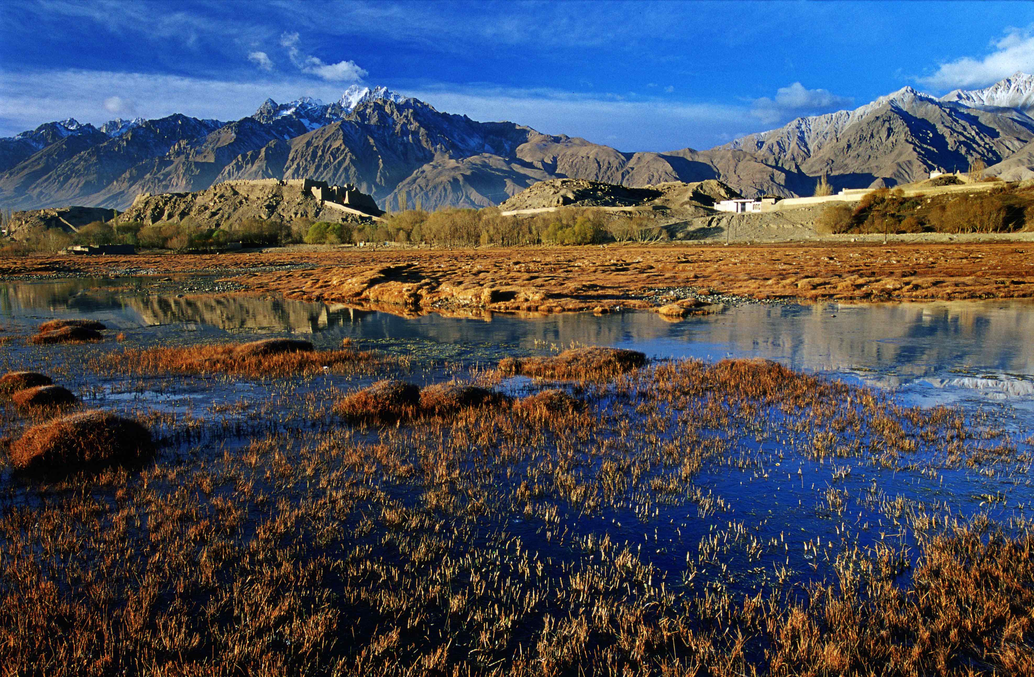 ��ͷ�� | һ�����±�gg�����漣�ֳɾ�������ͭ��