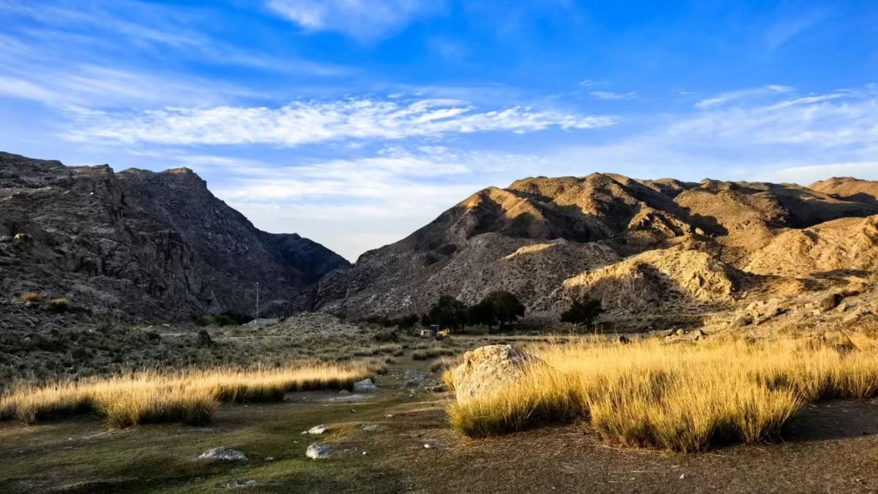 �±�gg�����漣 | ˶���������������+��ҵˮ���óͷ�+�ǻۻ���ά��ͷ������